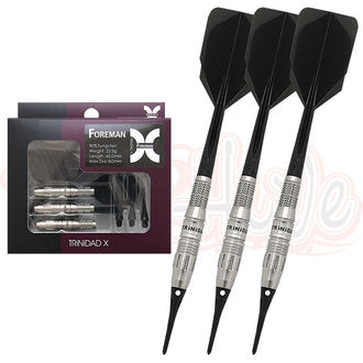 【TRiNiDAD】PRO Camacho 2BA Joji Nishitani player model - Mydarts